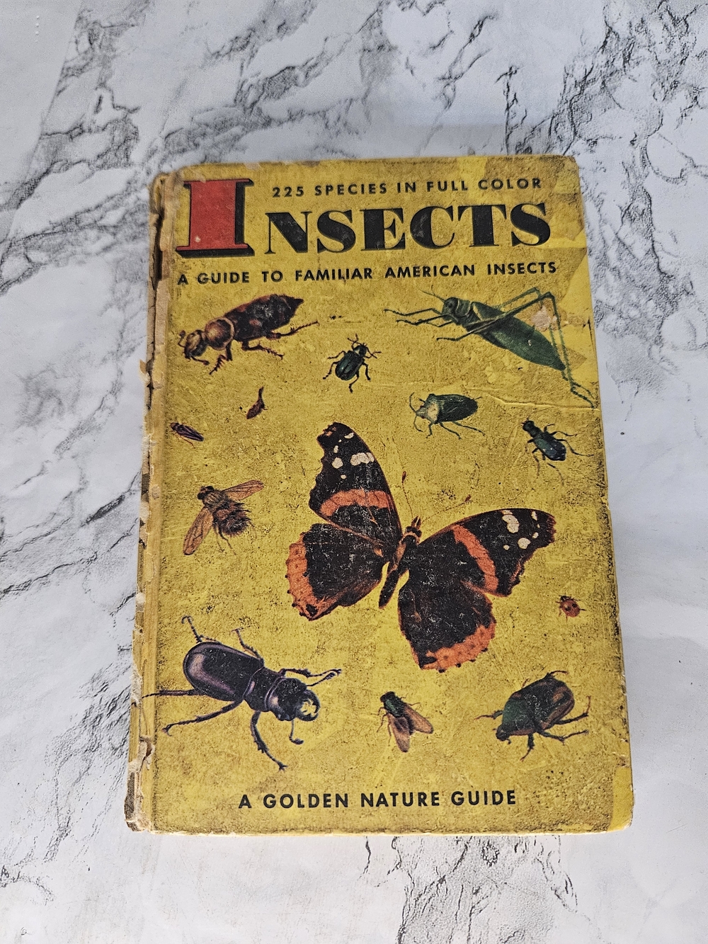 Vintsge 1951.Insects: A Guide to Familiar American Insects.A Golden Nature Guide